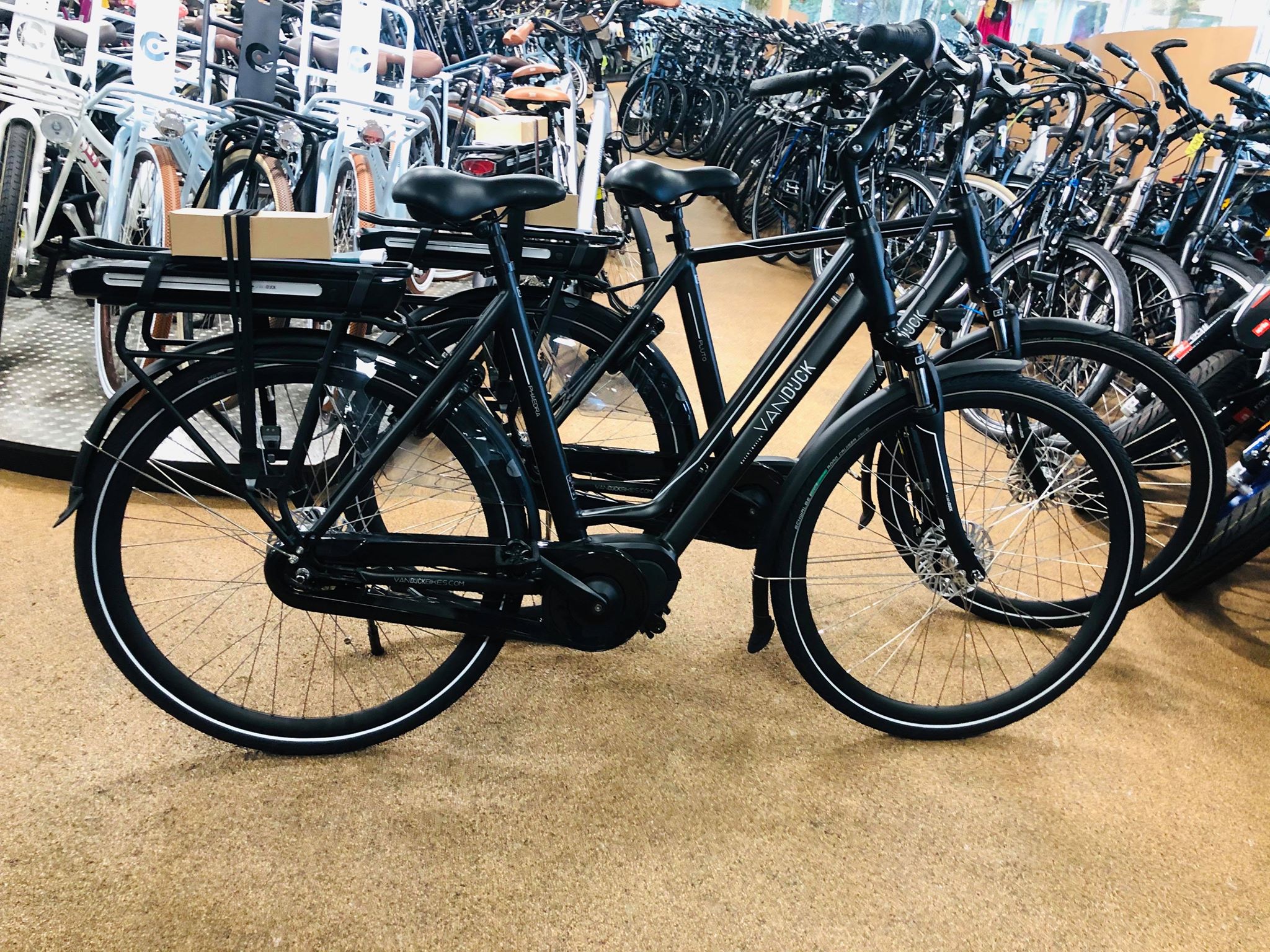 Van Dijck Phaedra 57cm (Dames) - Hazelhorst Tweewielers Rijssen